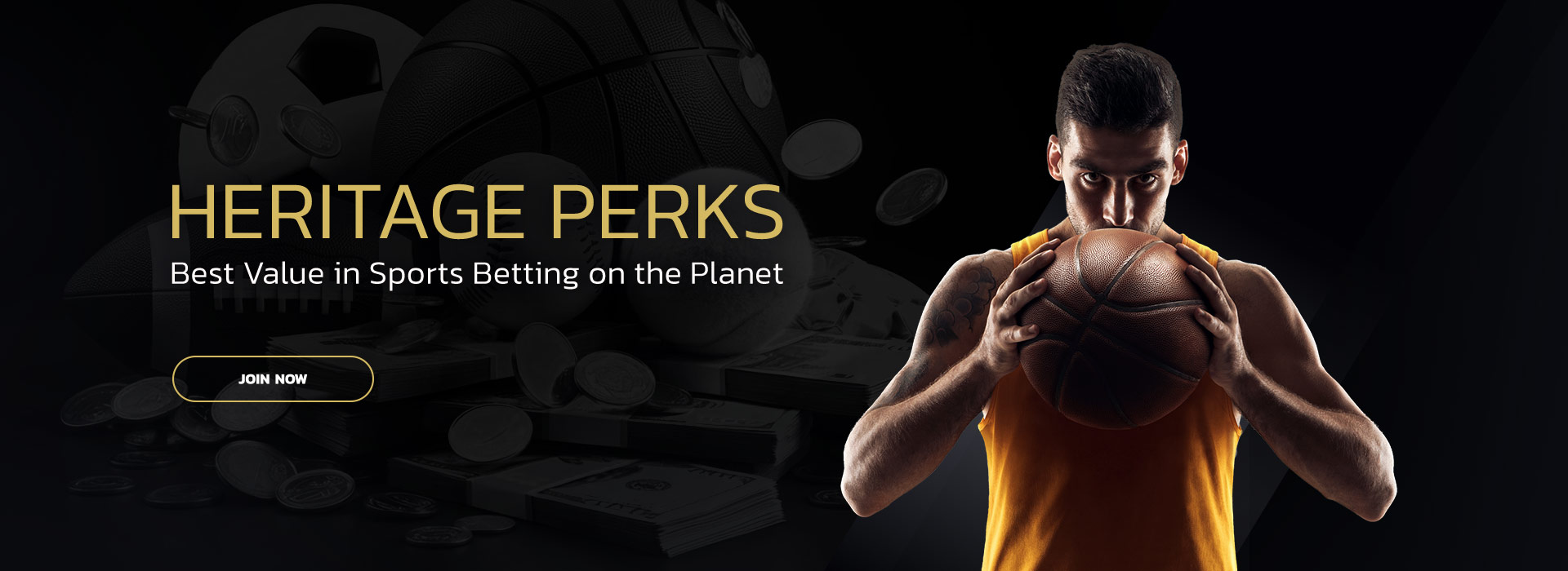 Perks banner img